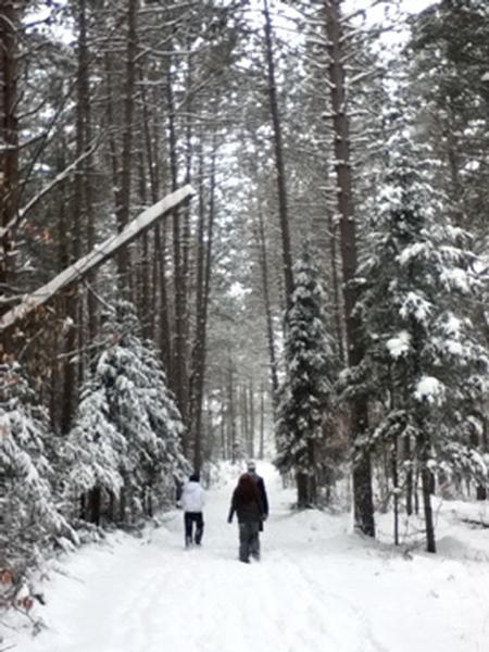 winter walk - 