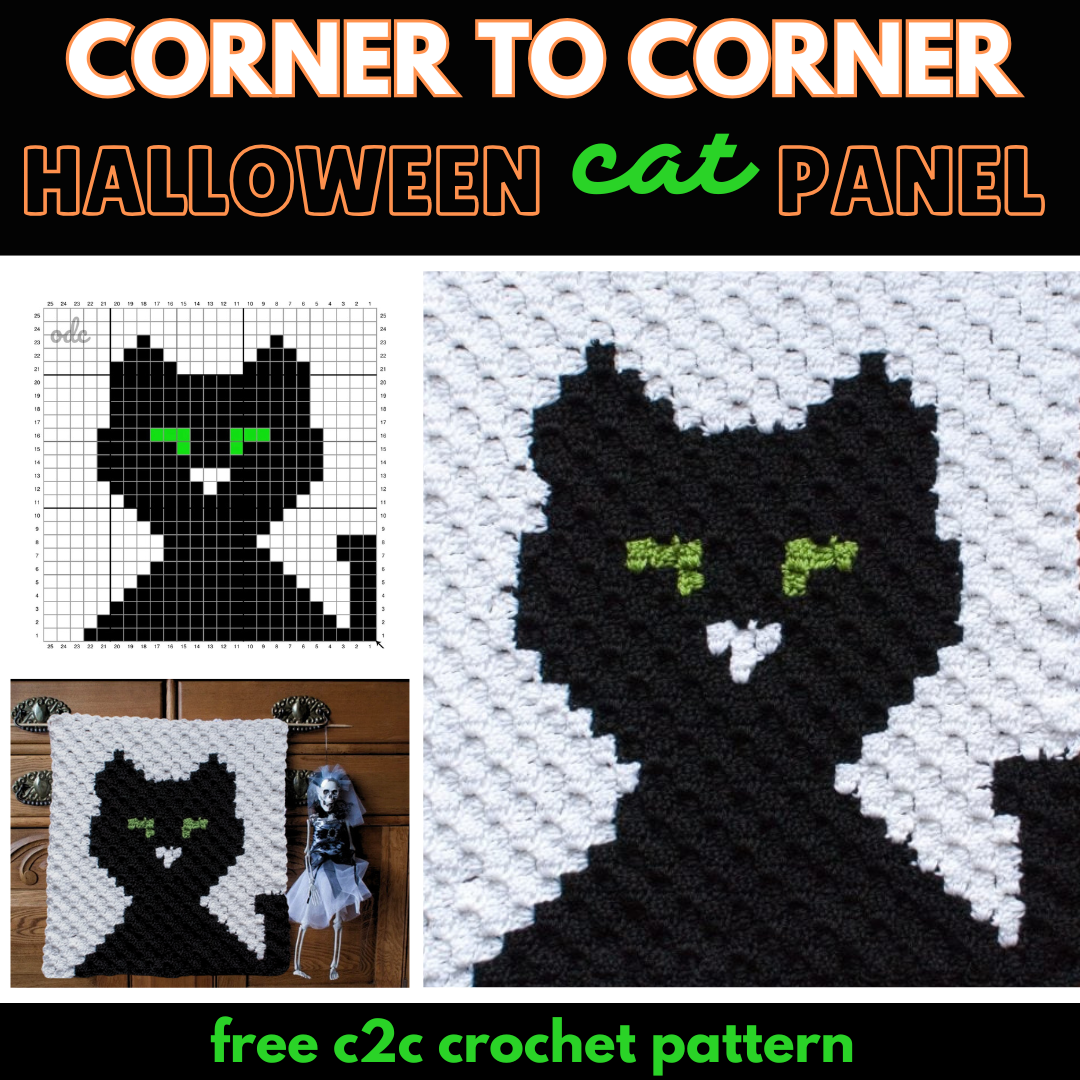 Corner to Corner Black Cat halloween panel (Instagram Post)
