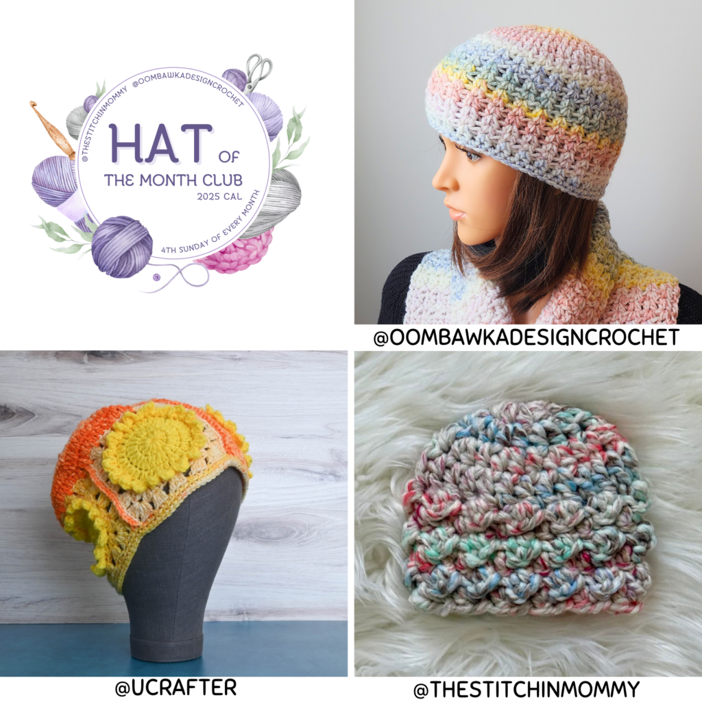 February’s Hat of the Month Club is here! Get three free crochet hat patterns: the Merry Go Round Hat, Everblooms Hat, and Sunshine Squares Hat. Two use Medium Worsted Weight Yarn, and one is made with Super Bulky Yarn. Perfect for winter!