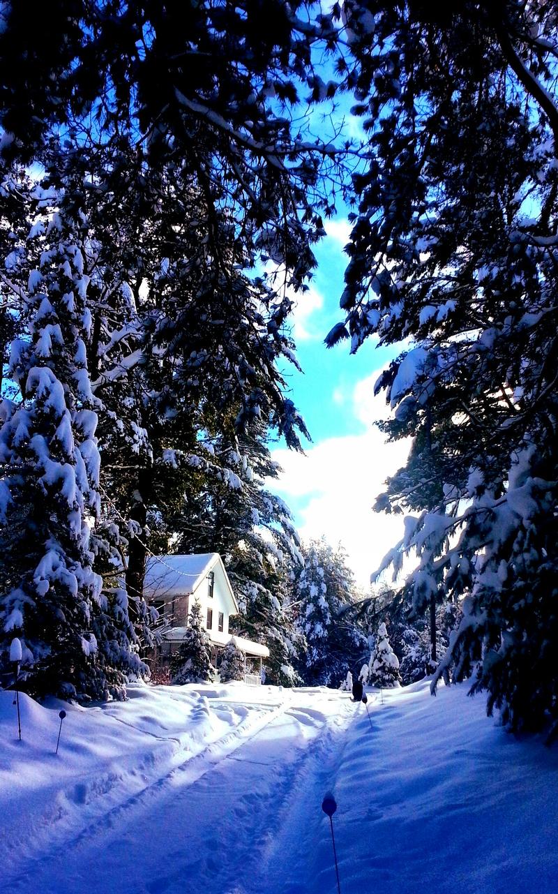 driveway to the lodge-winter