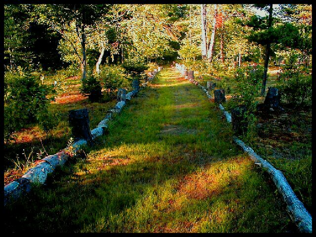 Autumn Path