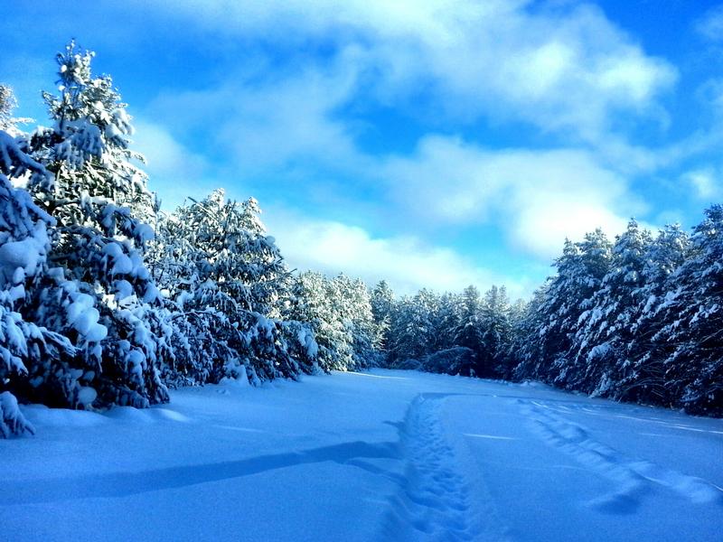 winter field and snow path