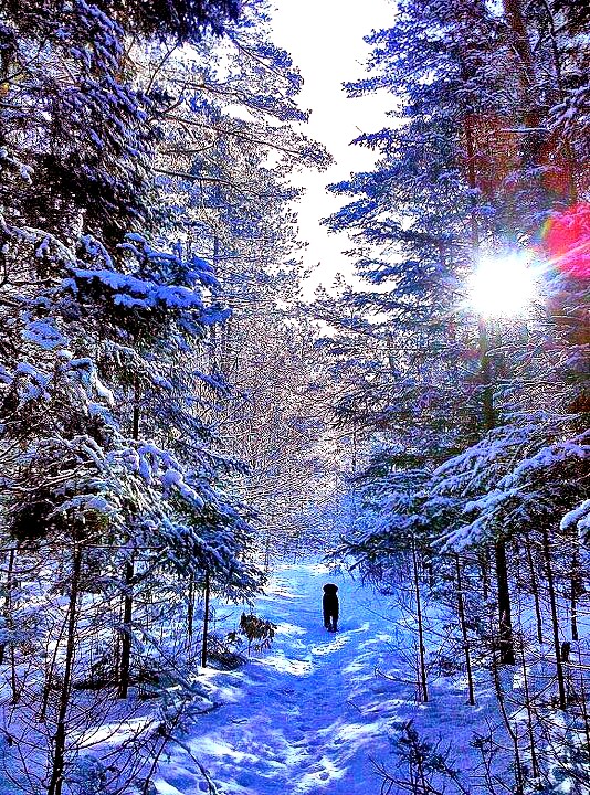 Katie on winter path